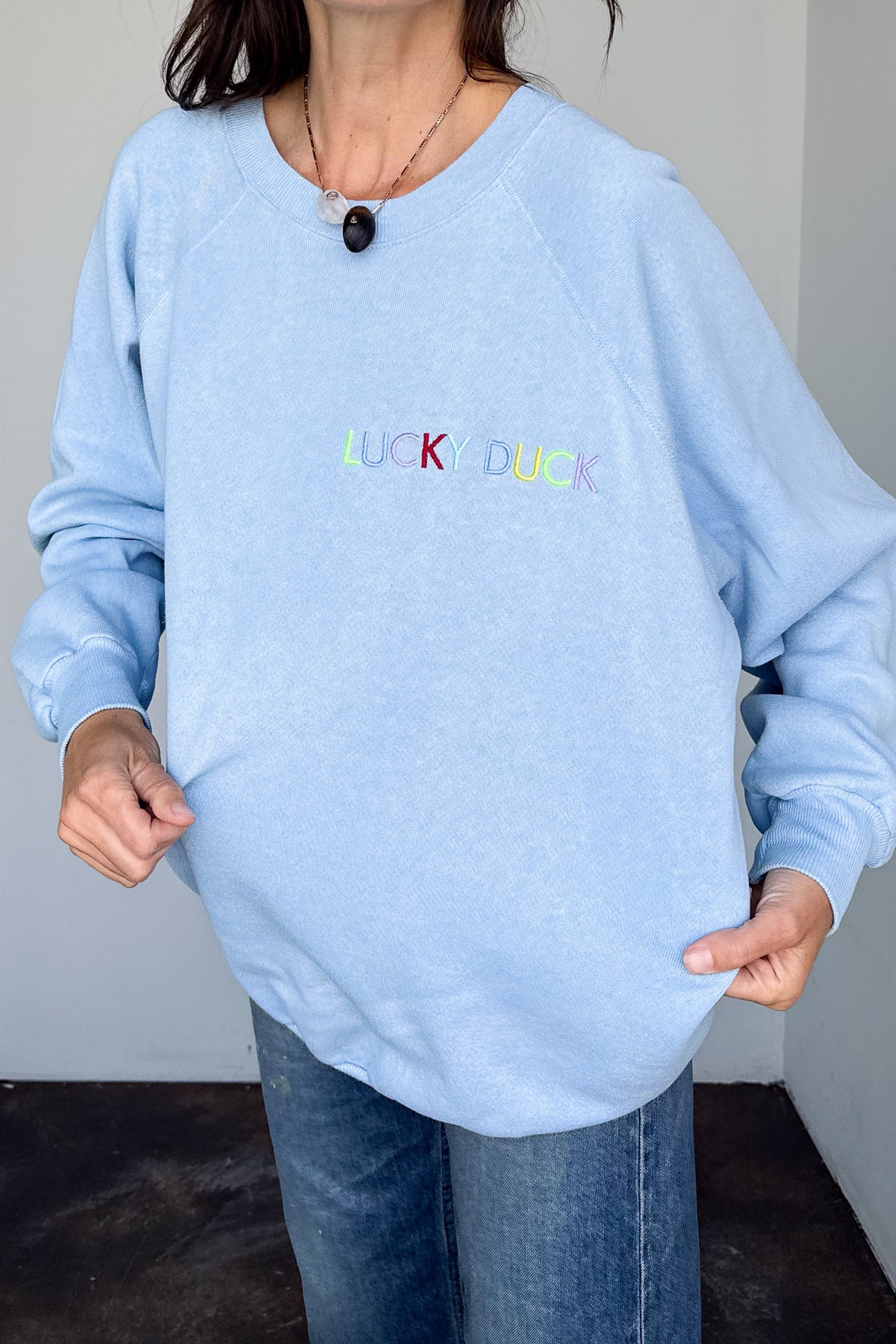 Lucky Duck Sweatshirt - LARGE Baby Blue - Image 4
