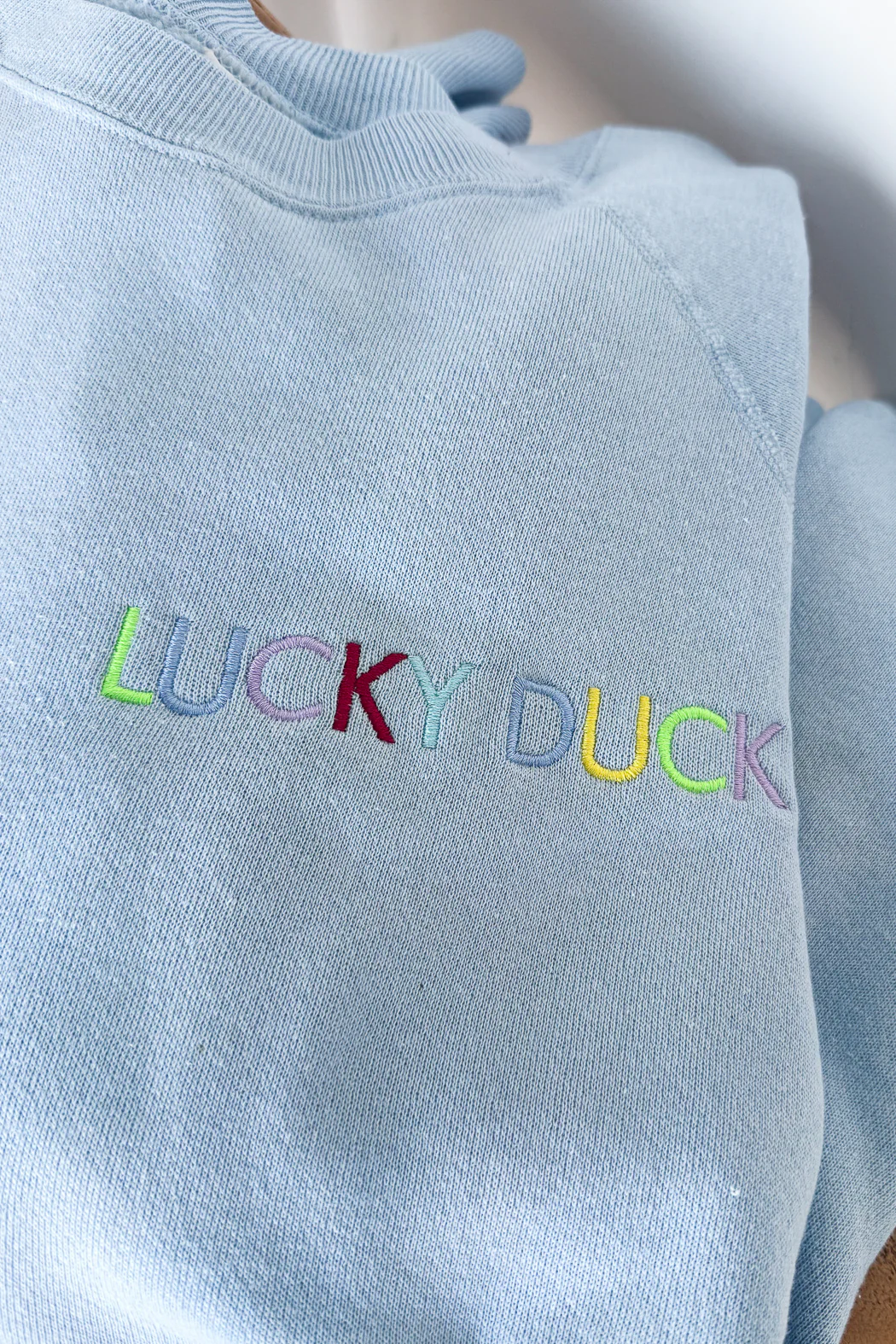 Lucky Duck Sweatshirt - LARGE Baby Blue - Image 6